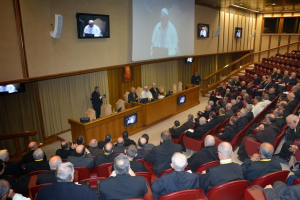 papal synod