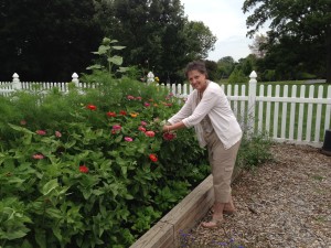 Associate Joan Sweeney cuts some of her flowers