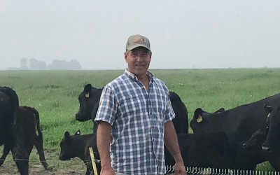 Associate David Surprenant