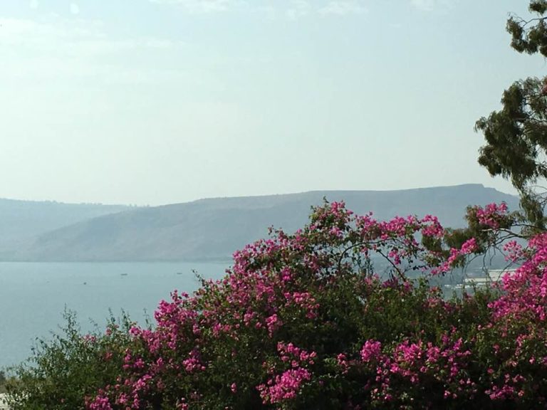 overlooking the Sea of Galilee