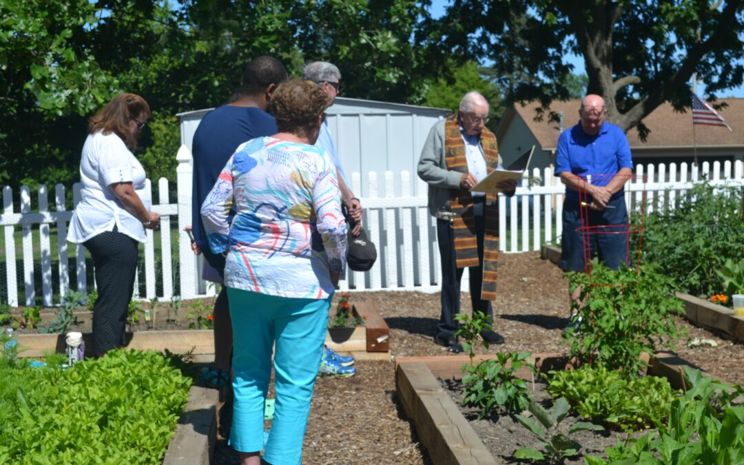 Caring for the Earth in the Spirit of Saint Kateri Tekakwitha