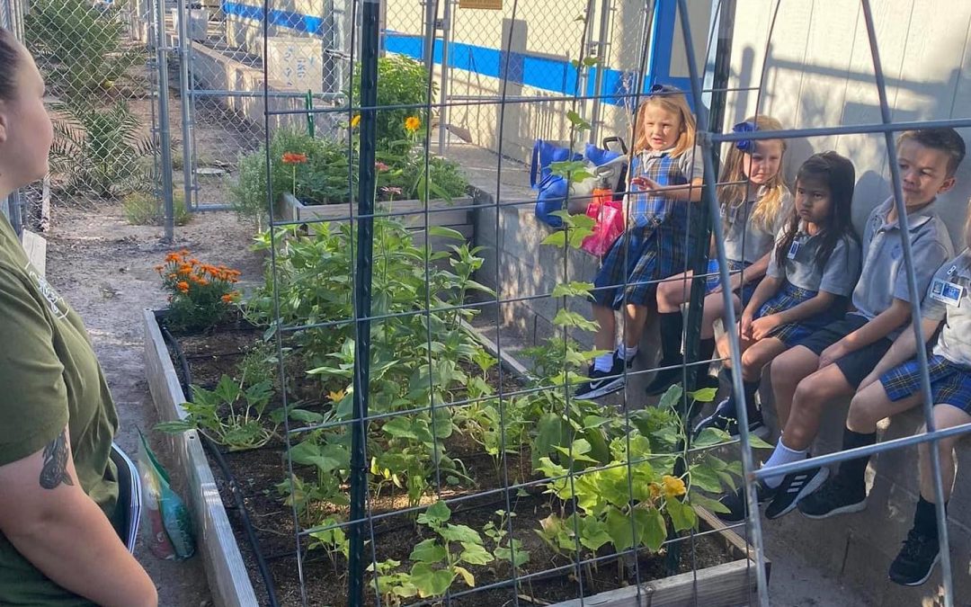 St. Viator Parish School Stands Apart with Commitment to Gardening