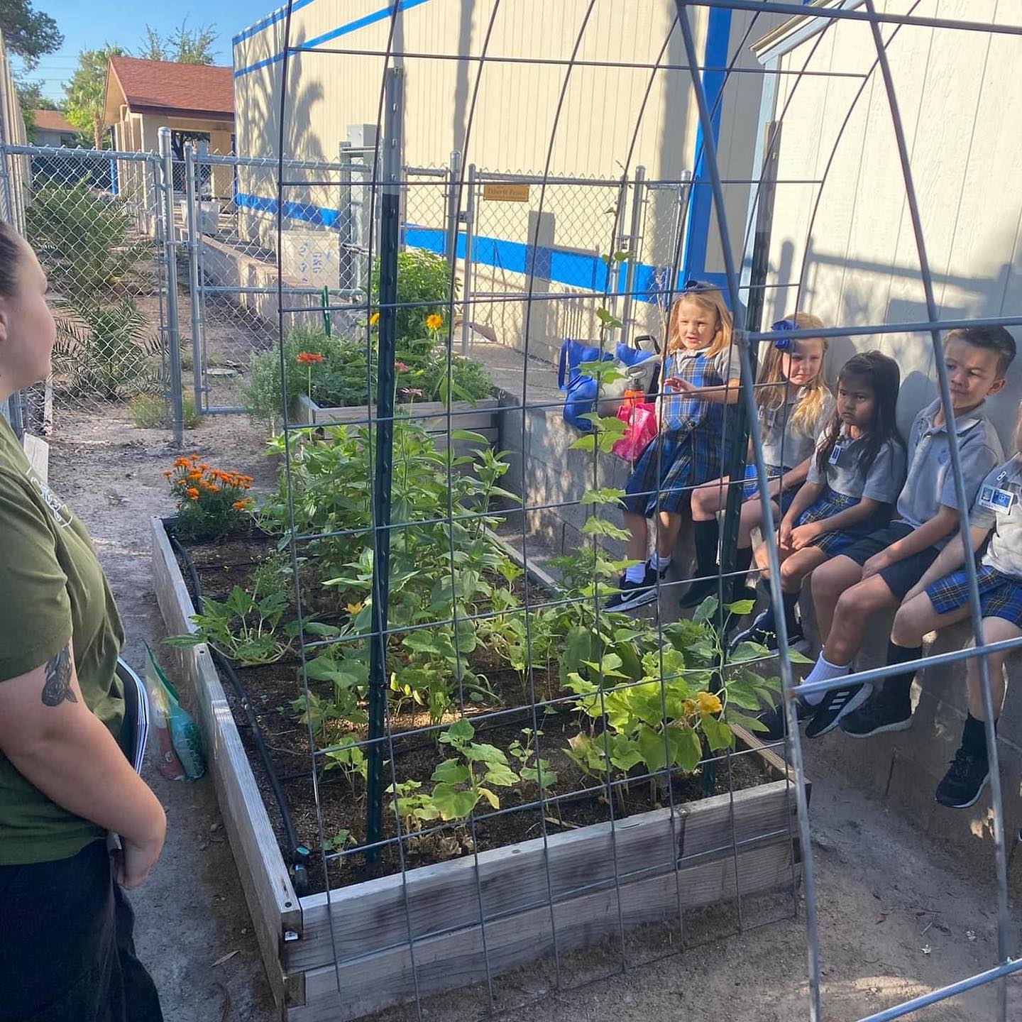 St. Viator Parish School Stands Apart with Commitment to Gardening