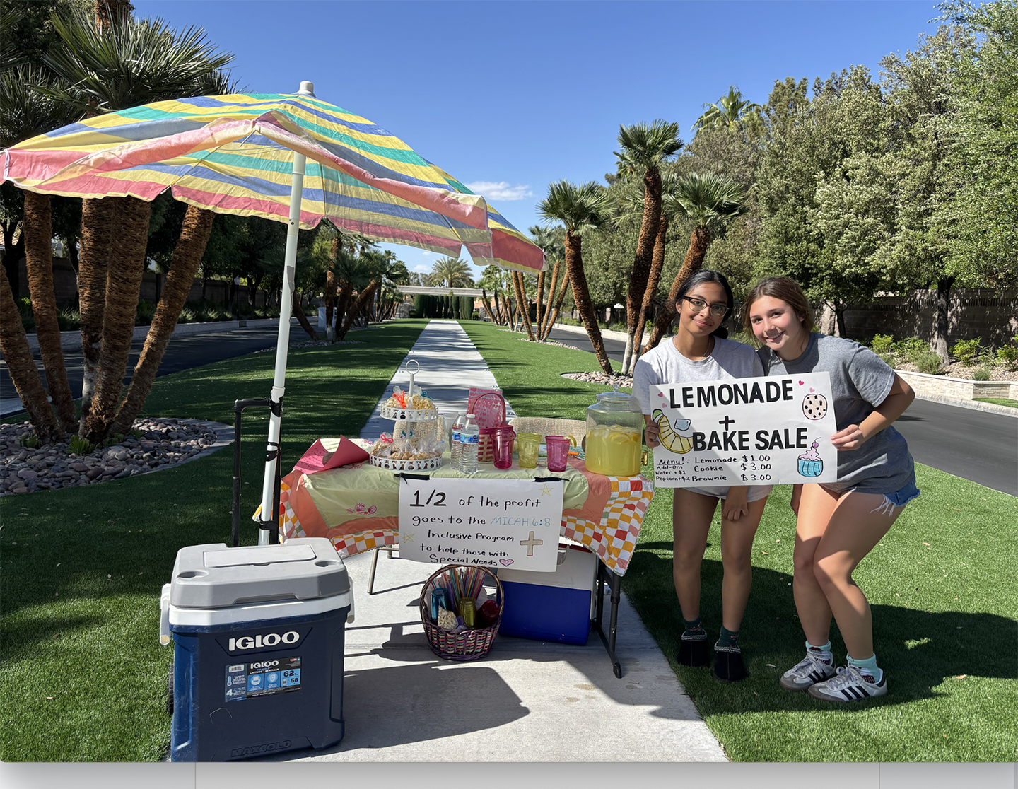 St. Viator Students Champion Inclusive Education