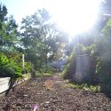 Volunteer Gardeners Provide A Ton of Help
