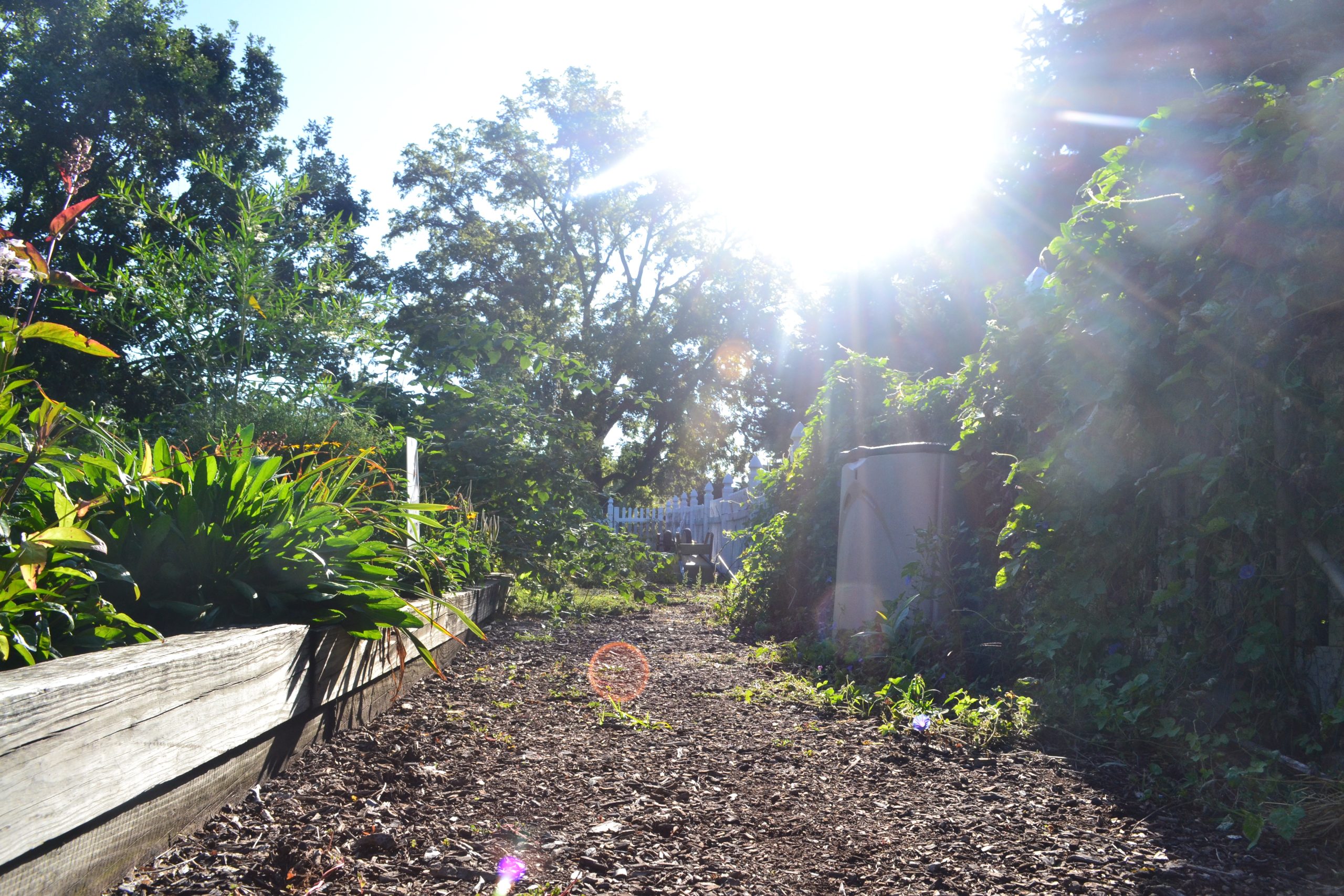 Volunteer Gardeners Provide A Ton of Help